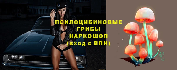 гидропоника Абинск
