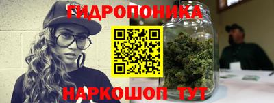 прущий лед Сланцы