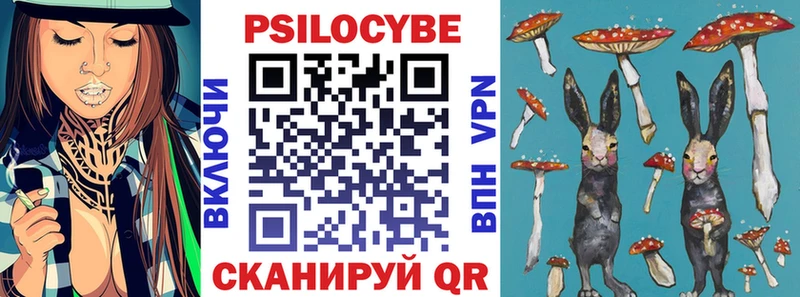 где можно купить   Оренбург  Псилоцибиновые грибы ЛСД 