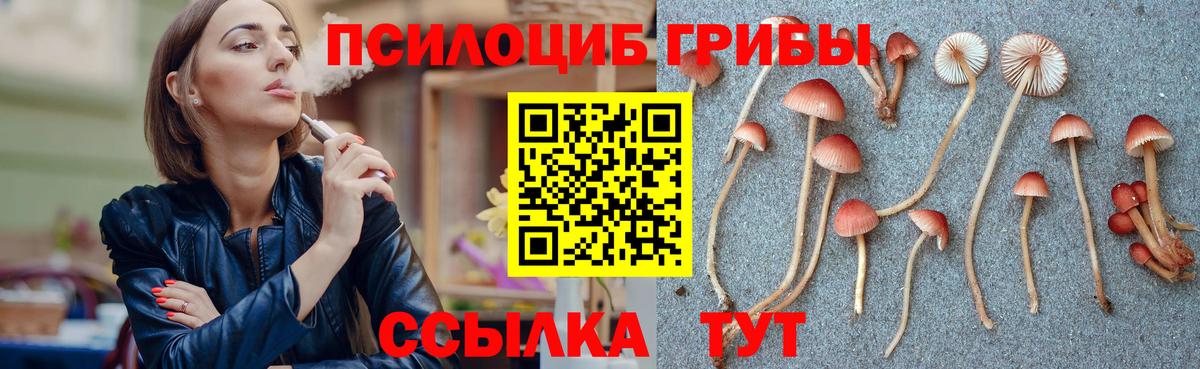 Псилоцибиновые грибы мицелий Оренбург